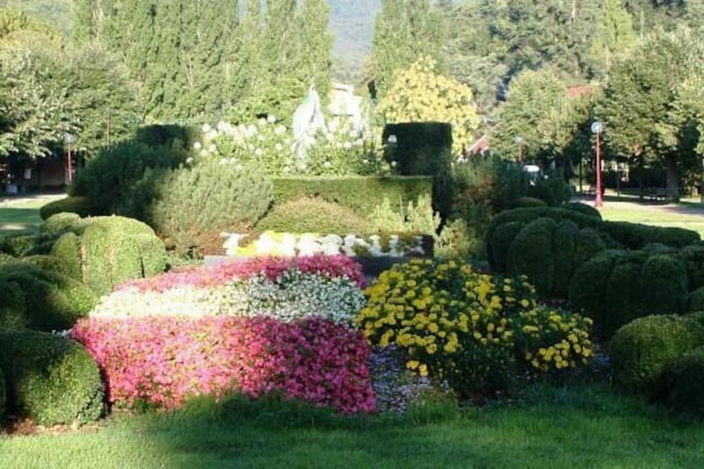 Gite Le Bambou Jama Aspach-le-Haut Exterior photo